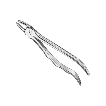 Extracting forceps, engl